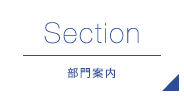 Section 部門案内